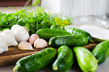 Preparation marinated conservation cucumbers with herbs, garlic, salt, and spice.