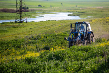 Tractor rides on the field. Summer sunny day. Blooming colza. Russian province.