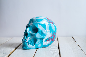 skull on the white wall and wood background