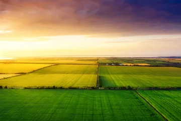 Fototapeten Luftbild auf dem Feld bei Sonnenuntergang. Landschaft von Drohne. Agrarlandschaft aus der Luft. Landwirtschaft - Bild © biletskiyevgeniy.com