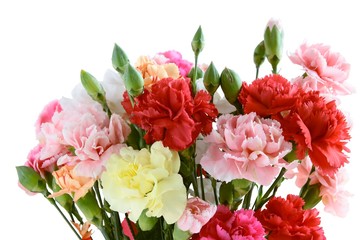 Obraz na płótnie Canvas multicolor carnations as posy close up