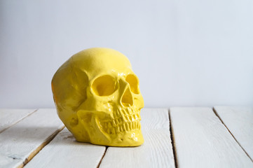 skull on the white wall and wood background