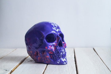 skull on the white wall and wood background