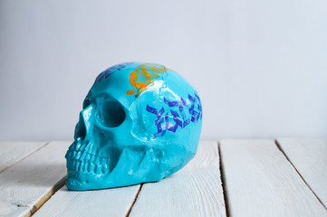 skull on the white wall and wood background