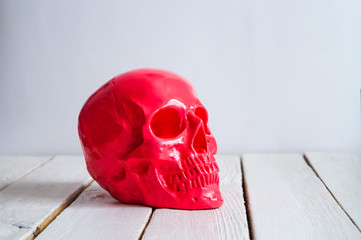 skull on the white wall and wood background