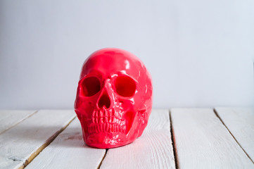 skull on the white wall and wood background
