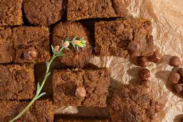 Sweet homemade cake with hazelnuts, crumble brick wall decorated with succulent flower