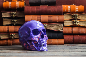 skull on the leather journal book background