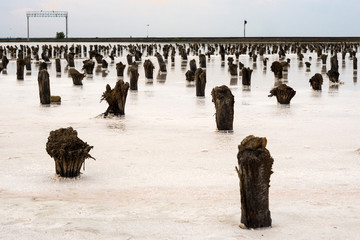 salt lake Baskunchak Astrakhan region