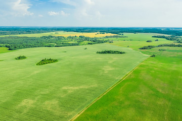 Summer rural landscape. Picturesque rural fields from a bird's eye view.