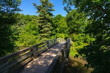 Fototapeta premium Bridge in Starved Rock