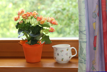 potted plant and a jar on a window sill beside a colored curtain