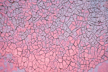 Cracked weathered old purple rusted paint background