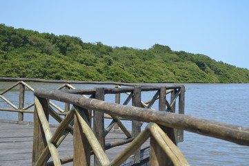 Fototapeta premium deck varanda madeira ponte