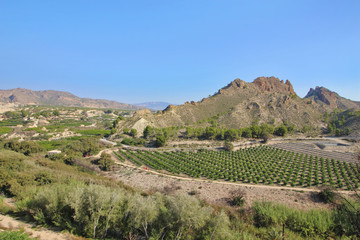 Villanueva del Río Segura, Murcia, España