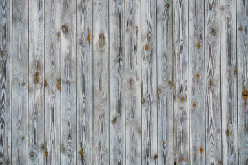 Gray wooden lining boards wall. Fence, vertical wooden texture. Toned image.