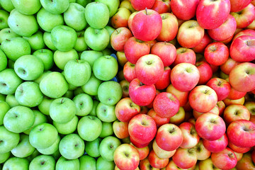 Fruit Red and Green Organic Apple
