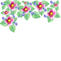 watercolor flowers drawing  wallpaper pattern background plants