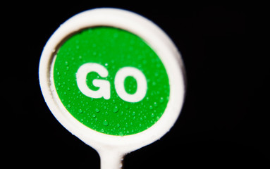 traffic sign green with text go