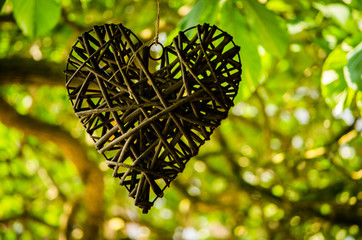 heart of leaves