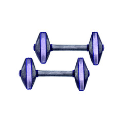 Hand drawn watercolor illustration of fitness gray and violet sport dumbbells for gymnastics on white background.Graphic design  for print, decoration element