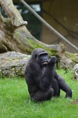 mince je me suis fait griller