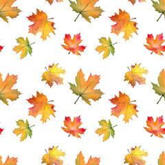 Seamless pattern with autumn maple leaves. Watercolor on white background.
