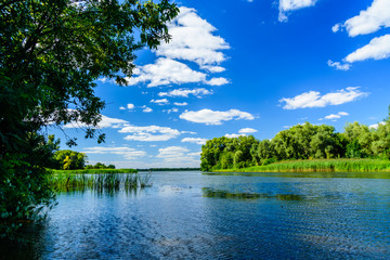 Summer landscape with the green trees and river