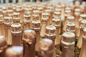 Sealed champagne bottles, background texture - Powered by Adobe