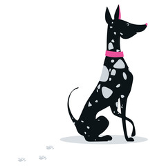 Seated black hound dog Great Dane in a pink collar. Vector illustration.