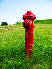 View on a fire hydrant on a field