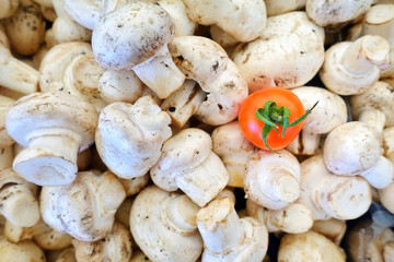 Healthy Organic Mushroom and One Tomato