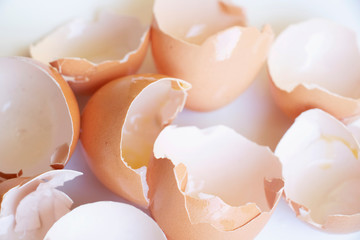 Delicate Egg Shells on a White and Airy Background. Baking or cooking background. Walking on eggshells background. Broken and shattered background.
