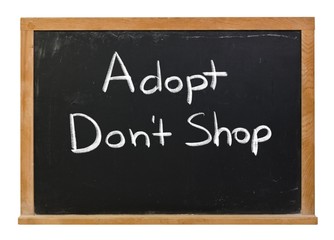 Adopt don't shop written in white chalk on a black chalkboard isolated on white