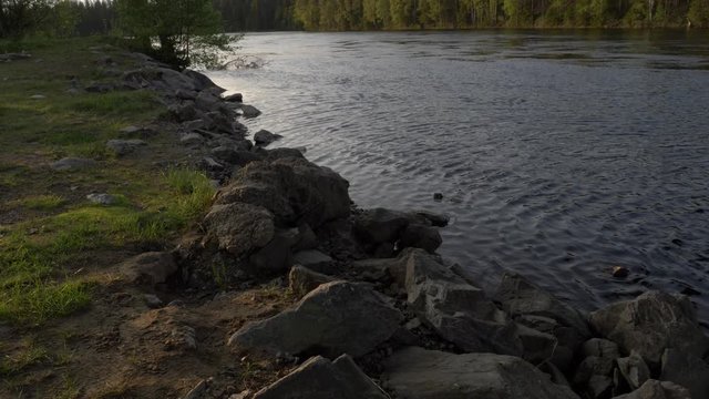 Tilt up shot of on the Trysil river in Norway with slow flowing of water surrounded by a forest of pines on a sunny day.