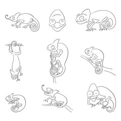 Chameleons in different poses outline illustrations set
