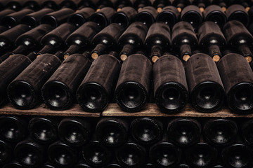 Resting dusty wine bottles stacked on wooden racks in cellar.