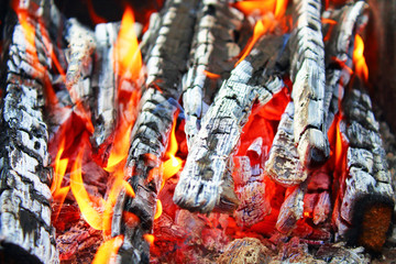 Burning firewood. Beautiful bonfire. Vertical view. Close-up. Background. Texture.