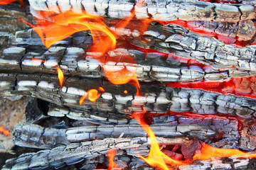 Burning firewood. Bonfire close up. Horizontal view. Background. Texture.