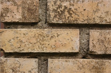 Bricks Detail