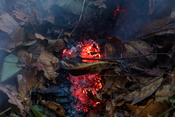 Fototapeta premium Burning pile of dry leaves and plants during typical autumn garden work