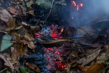 Burning pile of dry leaves and plants during typical autumn garden work