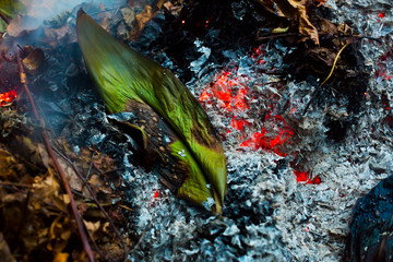 A large green leaf slowling burning in a pile of brown leaves and hot ashes