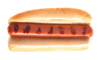 Single Grilled Hot Dog Isolated on a White Background