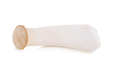fresh eryngii mushroom on white background