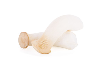 Fototapeta na wymiar fresh eryngii mushroom on white background