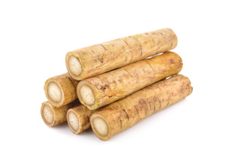 fresh burdock root or Gobo on white background