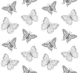 Fototapeta na wymiar Vector seamless pattern of hand drawn doodle sketch butterfly isolated on white background 