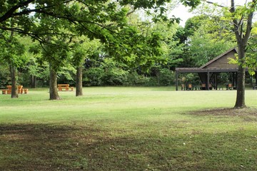 東京湾野鳥公園