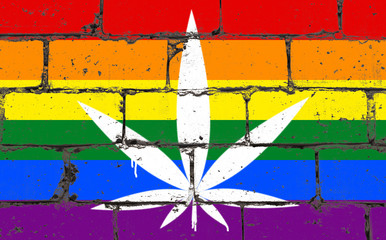 Graffiti street art spray drawing on stencil. Cannabis leaf on brick wall with flag LGBT community